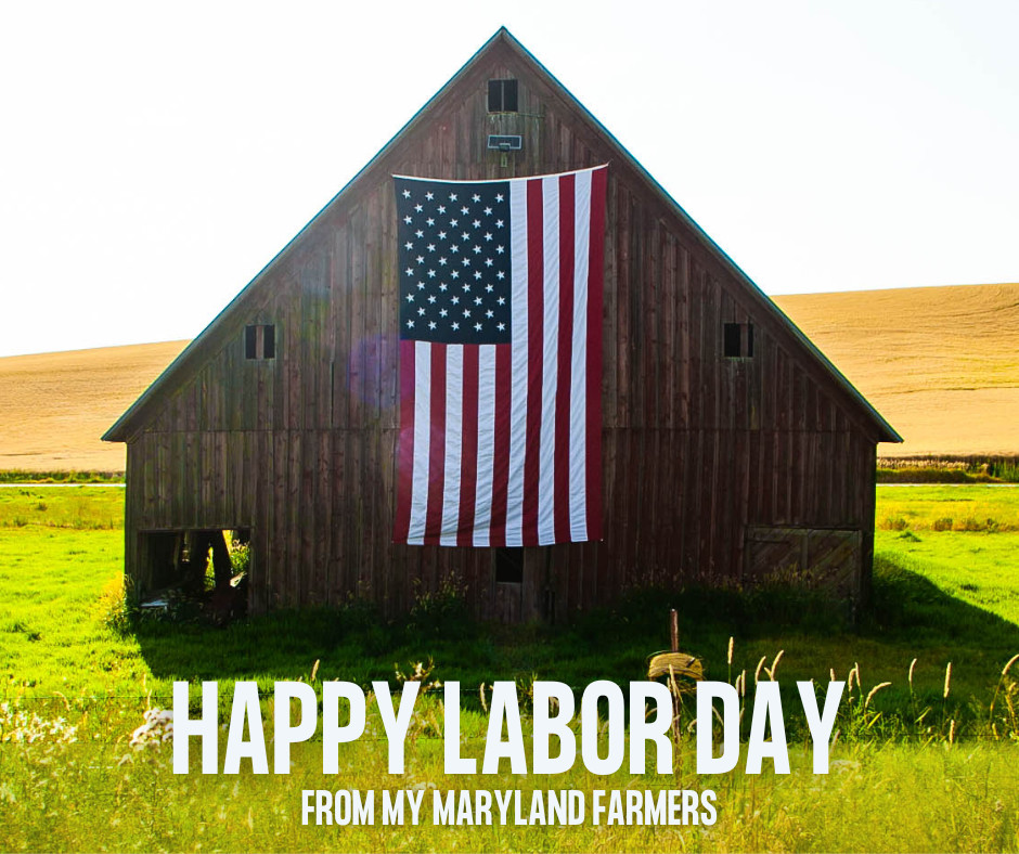 This Labor Day, we honor our Maryland farmers who work hard from dawn to dusk to put food on our tables. Their dedication embodies the spirit of this day. Thank you to every farmer who pours their heart into the land! #mymdfarmers #LaborDay
