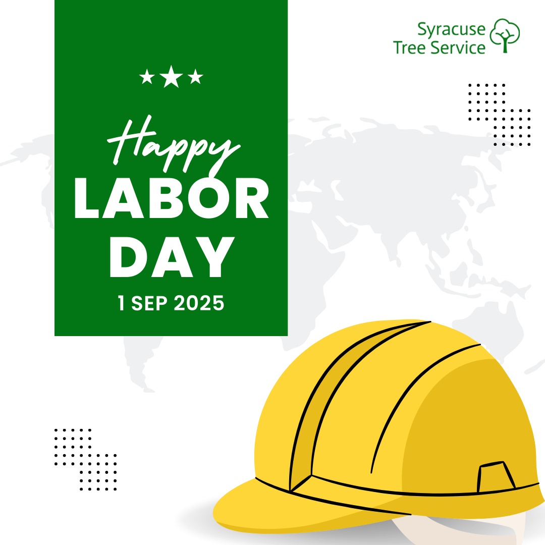 Syracuse_Tree's tweet image. Every great community stands on the shoulders of hardworking people. 💚 @Syracuse_Tree wishes you a Happy Labor Day!

#syracusetreeservice #treecare #treeservice #arboristlife #treeexperts #communitystrong #LaborDay