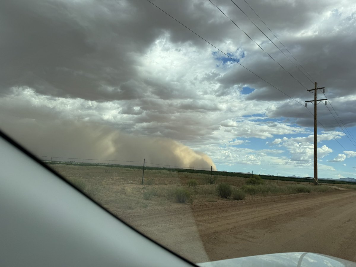 You know it’s a drought year in Arizona when 1) sale barn is running 2 days a week instead of 1, and 2) you have to outrun a massively giant wall of dust, known as a haboob. 

If there had been an 11th plague, I suspect a haboob would have been a candidate.