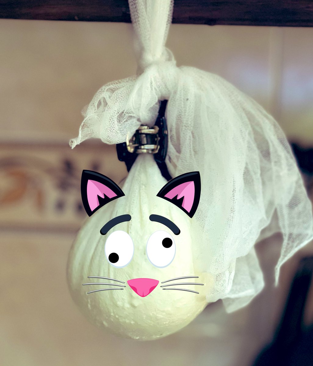 پنیر کاتیج درست کردم 😄
خودکفا شدم 🥳