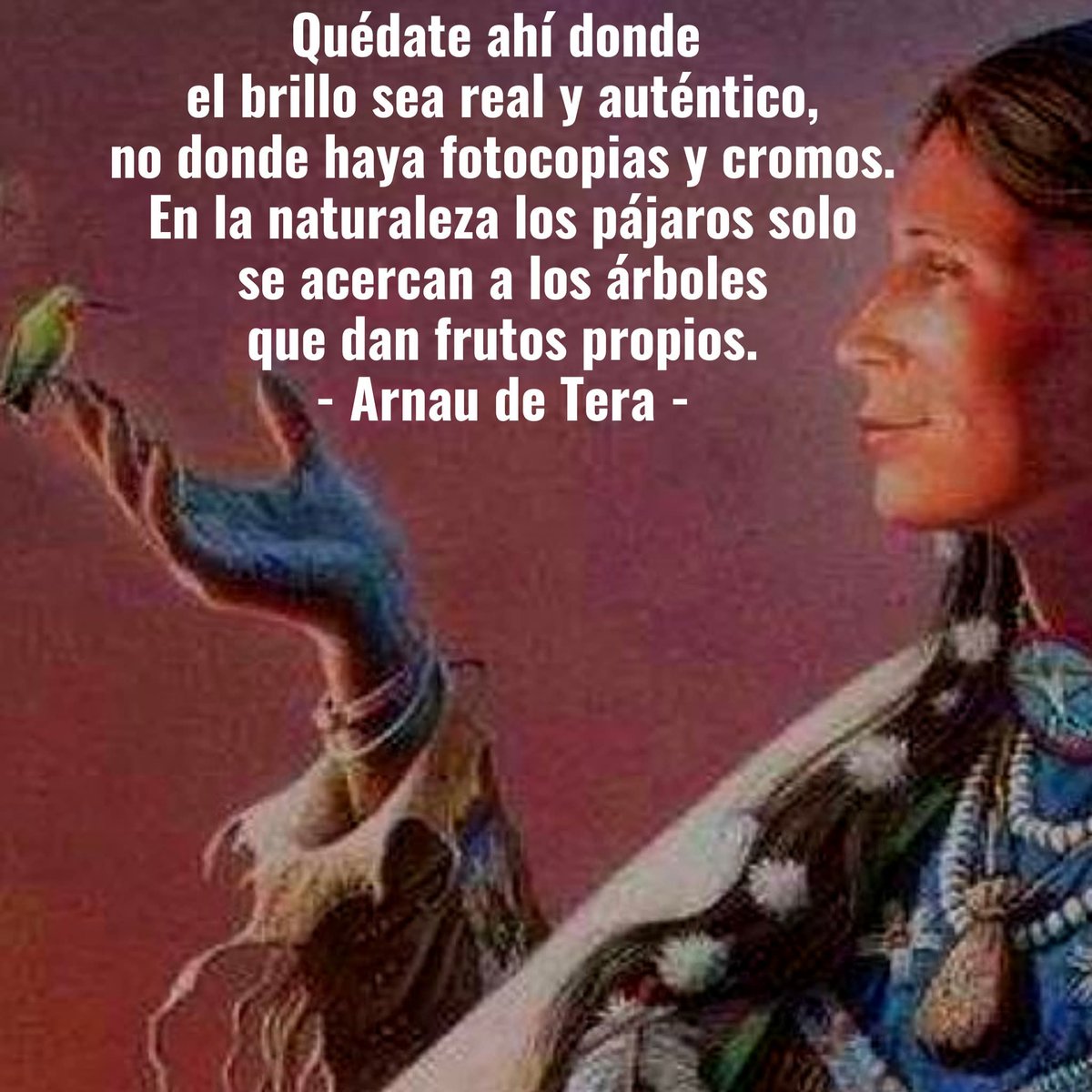 Arnau de Tera (@arnautera) on Twitter photo 