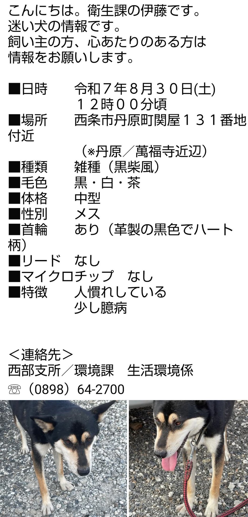犬 JohnGaku on X: 