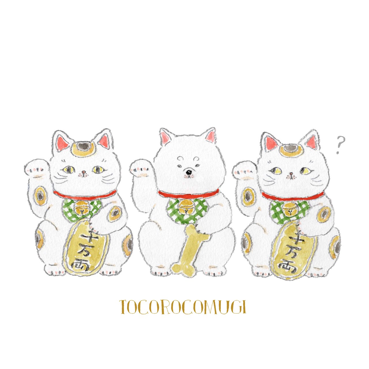 こむぎこお纏め4点 こむぎこお纏め4点 楽天市場】【8/1 最大500％ポイントバック+