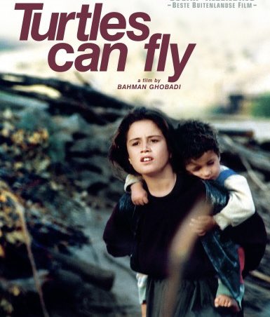 Uçmak isteyen kaplumbağalar bile bu topraklarda yere çakılıyor .