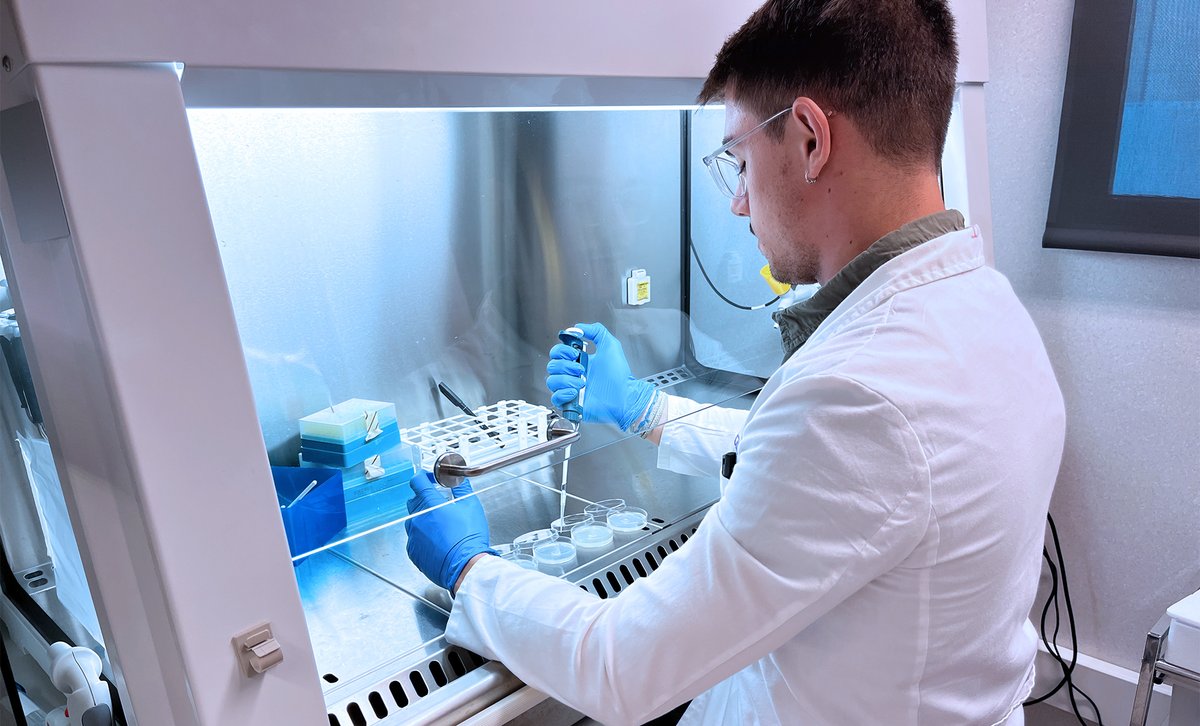 🫒Las hojas de olivo y otros subproductos agrícolas, clave para bioactivos dermocosméticos
🟢En el marco del proyecto europeo Phenolexa
<a href="/Eurecat_news/">Eurecat</a> 
oleorevista.com/texto-diario/m…