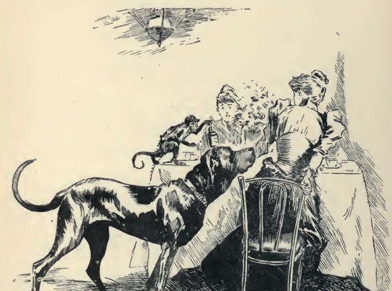 Nice read. -> In the Vine Country buff.ly/IzNtkCG via @JoeFattorini #wine #book