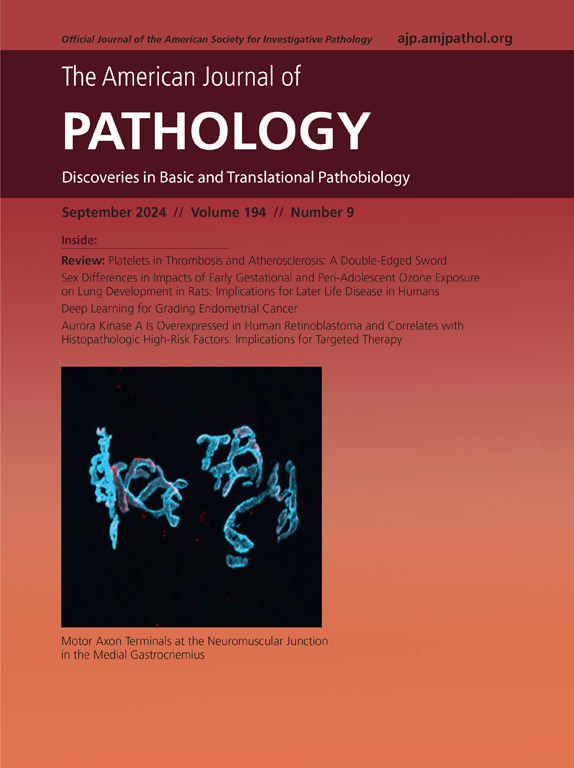 AJPathology's tweet image. New month, new #LegacyContent!
The September 2024 issue of @AJPathology is now fully free in the #OpenArchive!
Full issue: ajp.amjpathol.org/issue/S0002-94…