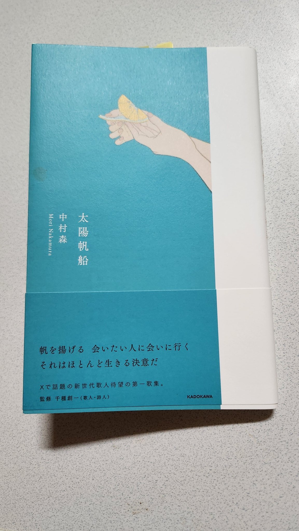 【中古】 歌人年間 2011年度版作品集成 光と影の 花 の帆船 / 日本短歌協会 中古】 歌人年間 2011年度版作品集成 光と影の 花 の帆船 /