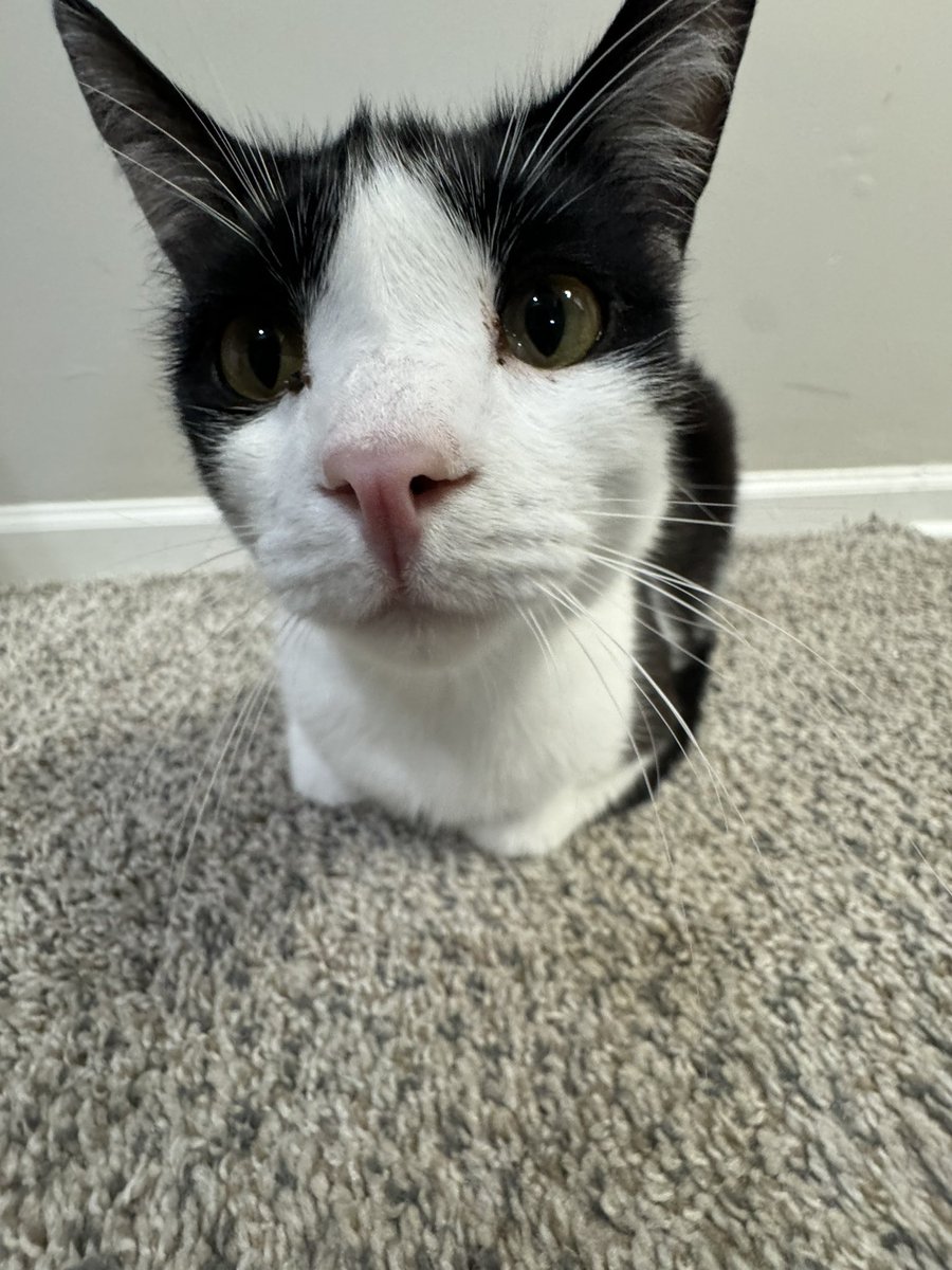 codaaaz's tweet image. Kenny 😭 @ItsCourtney33