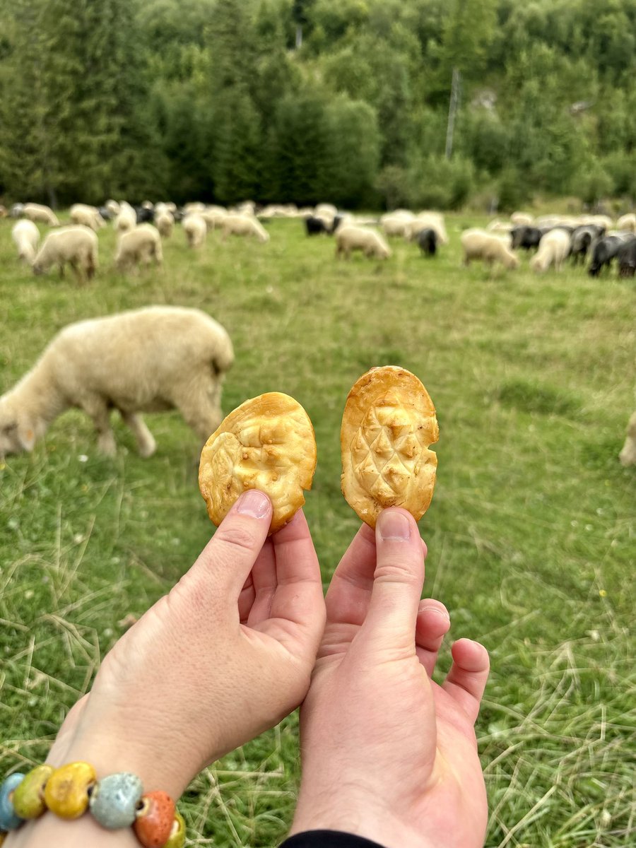 Touched rocks in Zakopane last week ⛰️

Poland 😍