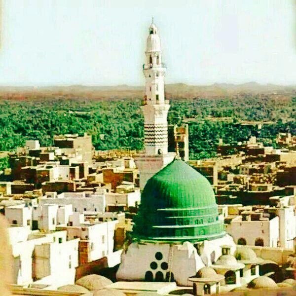 من الأدعية المستحبة لاهل المدينه المنوره دعاء سيدنا عمر بن الخطاب رضي الله عنه حيث كان يدعو فيقول : اللهم ارزقنى شهادة فى سبيلك ووفاة فى بلد رسولك ﷺ .