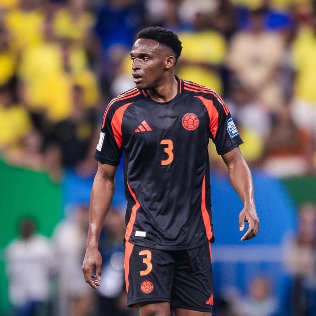 Es casi un hecho que Jhon Lucumí continúe en el Bologna esta temporada. Sunderland lo tenía como su principal objetivo, equipo que se armó muy bien en la Premier League, pero el club italiano no quería desprenderse de él.

Bologna terminó mejorándole las condiciones y su salario.