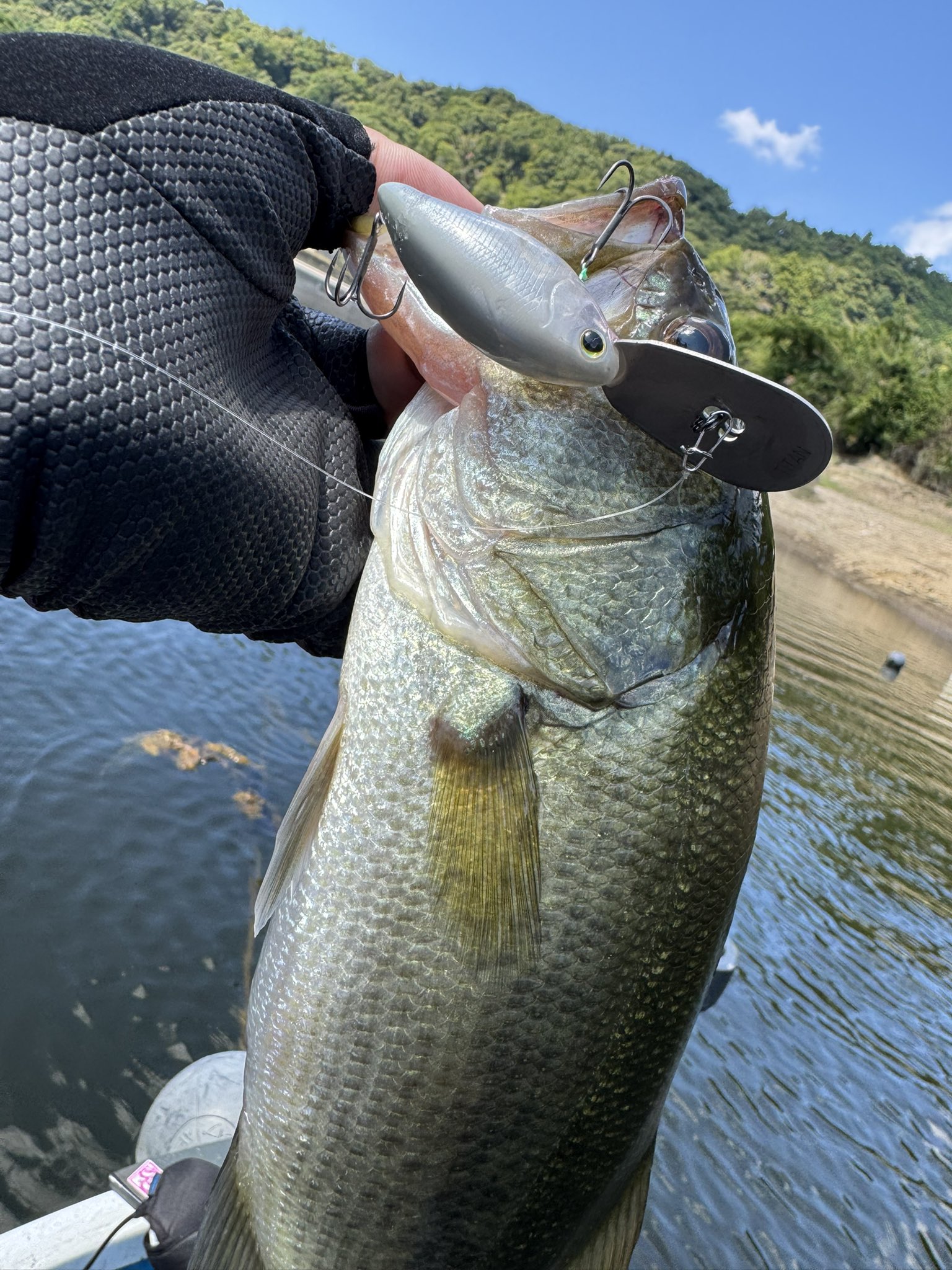 ワギー　MPB WILD BISON -ワイルドバイソン- | MPB LURES -Monster Panic Bite-