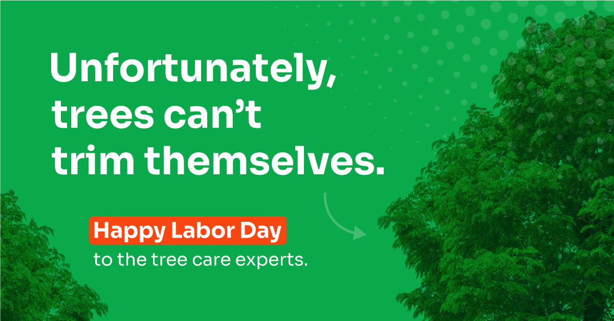 Happy Labor Day! Celebrating the hard work &amp; dedication of all who make our world a better place, especially the skilled professionals in the tree care industry.

We hope you're enjoying a well-deserved break today, taking a moment to simply relax &amp; recharge.