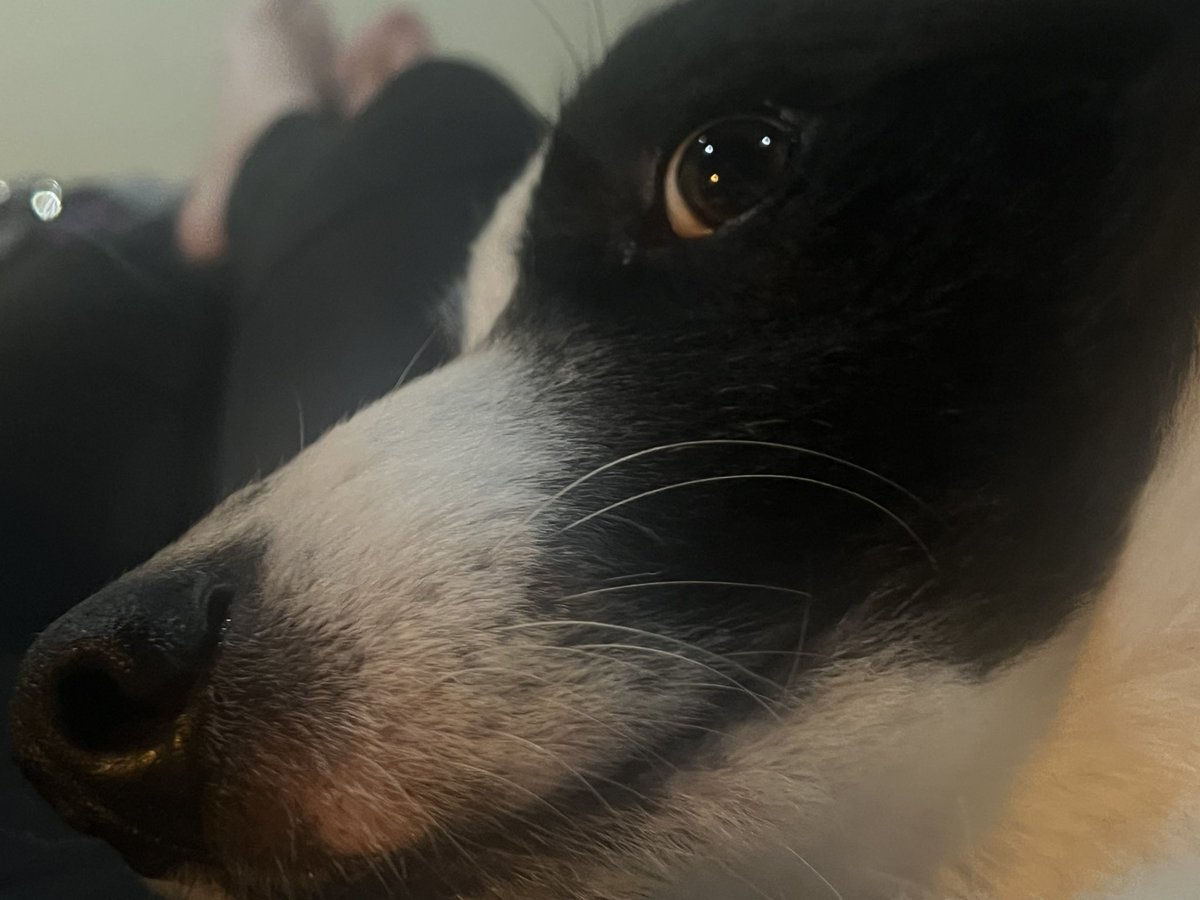 ℂ𝕣𝕠𝕟𝕦𝕤🪐/ CS Studios 🔜??? tweet media