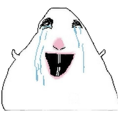 2358 (@al_ringer13) on Twitter photo 