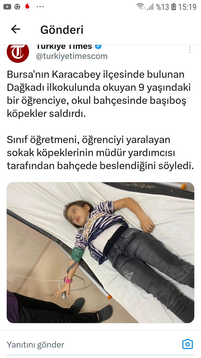 <a href="/Yusuf__Tekin/">Yusuf Tekin</a> Videoya daha gerçekçi bişeyler ekleyelim mi, ne dersiniz? Çocuk kovalayan başıboş köpekleri göremedik, oysa #OkulYoluKöpekDolu