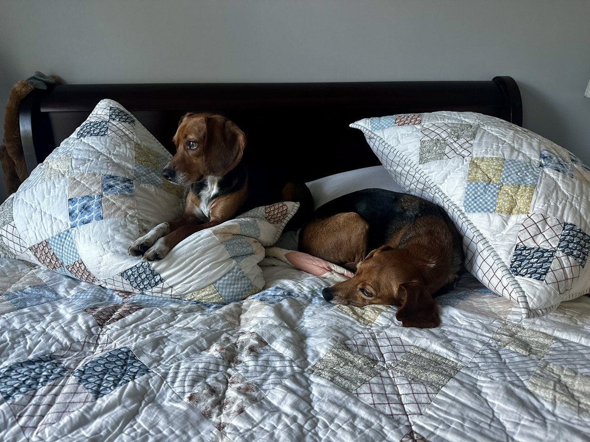 unemployed beags freeloading on labor day