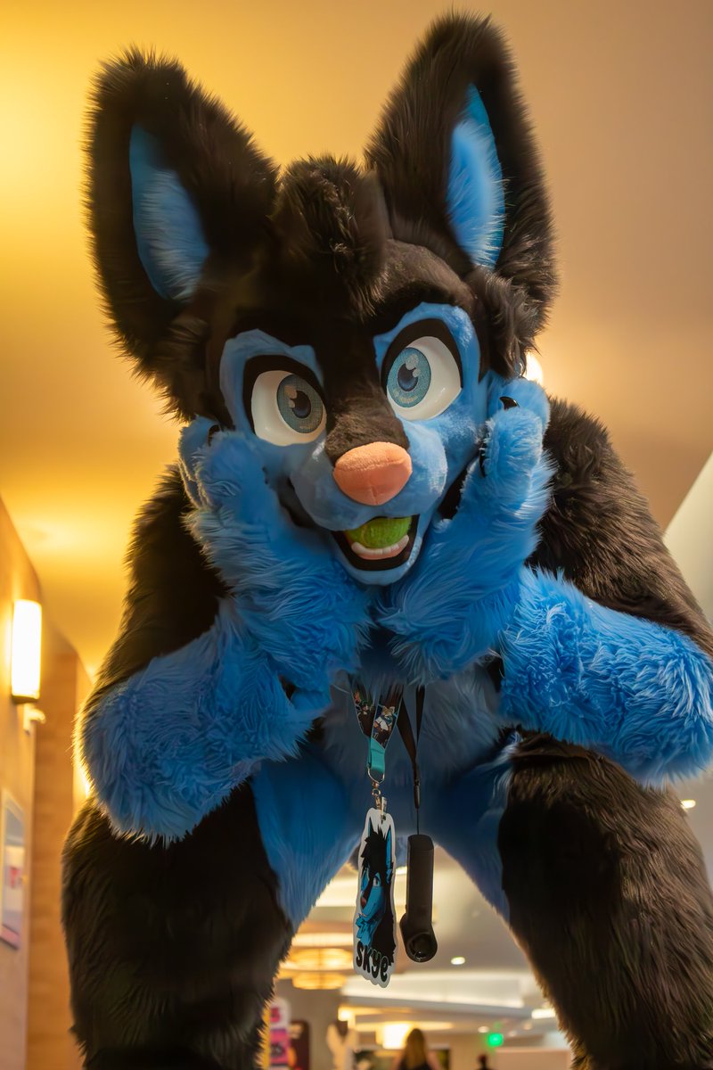 Made it back home and getting back to the normal routine. I had an amazing time at #Megaplex!! It was great to see friends and meet new ones! Thank you everyone for making this an amazing con, definitely one for the books!!

🪡 <a href="/deleon_fursuits/">de Leon Fursuits</a> 
📸 <a href="/StellahFish/">Stellah | Fish 🐟</a> 
🌃 <a href="/MegaplexCon/">Megaplex</a>