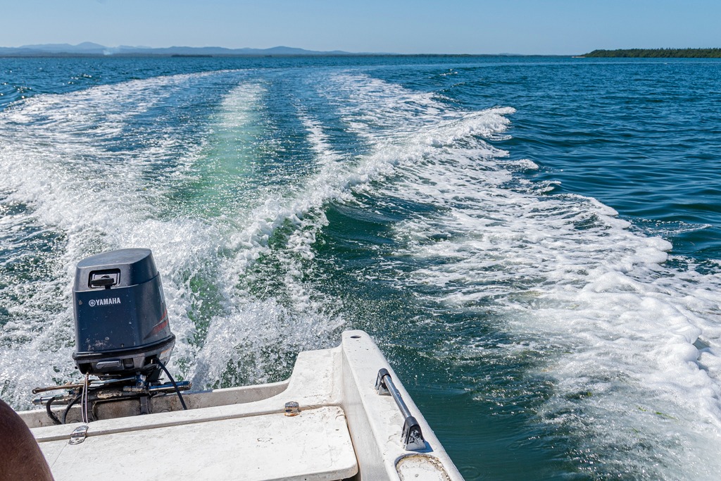 🌟 The Beach of Stars  
Can you picture it? Sol de Cuba tells the story—an experience you simply can’t miss.  
This is an invitation to discover #Cuba as a destination full of wonder and charm.  

More info:
acortar.link/BdCgk7

#CubaTravel #CubaUnica