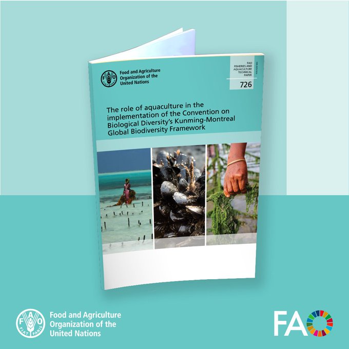 Sustainable #aquaculture can help conserve and use aquatic resources responsibly.

This @FAOFish paper informs stakeholders on how the sector can help deliver the Global Biodiversity Framework, while supporting food, nutrition &amp; livelihoods.

Read more 🔗 doi.org/10.4060/cd6408…