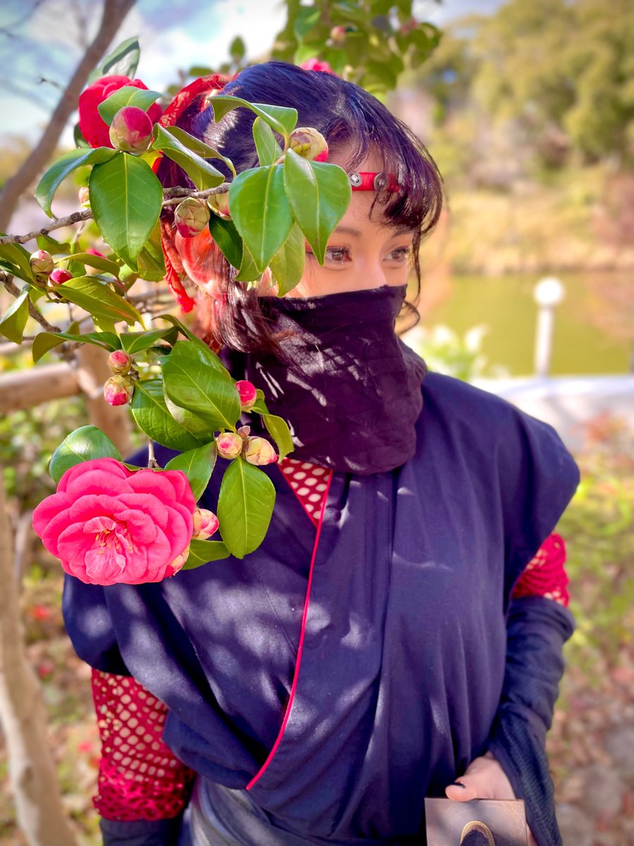 さんだひとみ🍎くのいち林檎 tweet media