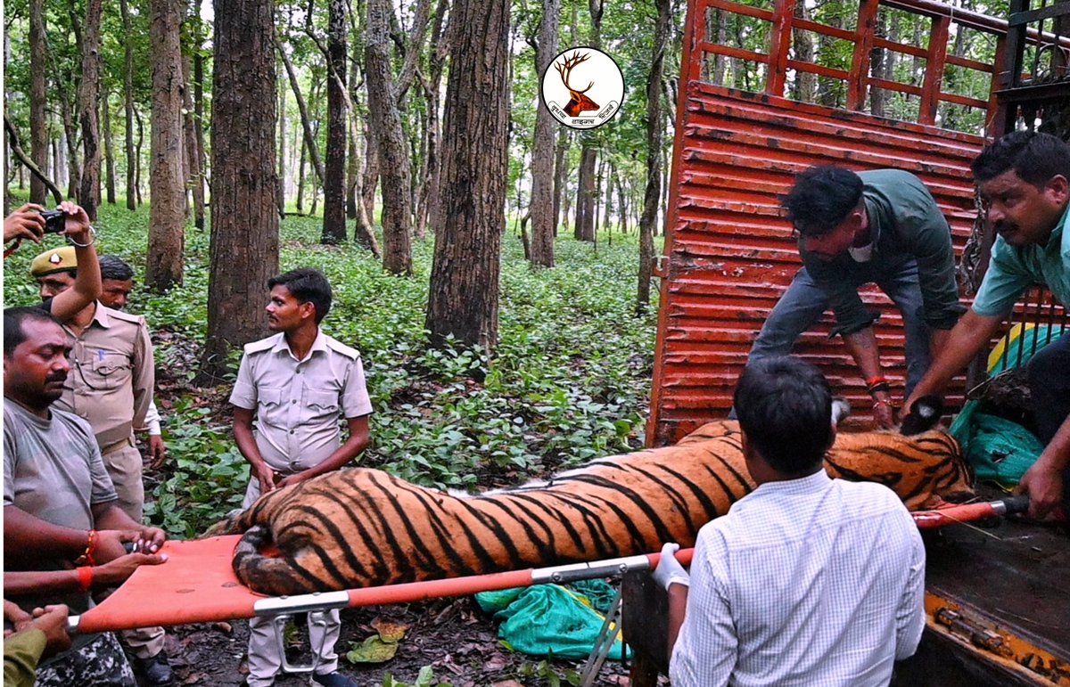 Dudhwa Tiger Reserve tweet media
