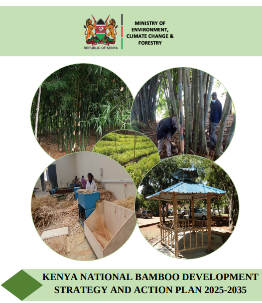 🇰🇪 Kenya just dropped its draft *National Bamboo Strategy 2025–2035*! 🌿  
Bold steps to make bamboo a cash crop, create jobs &amp; position Kenya as Africa’s bamboo leader.  
#BambooKenya #GreenFuture