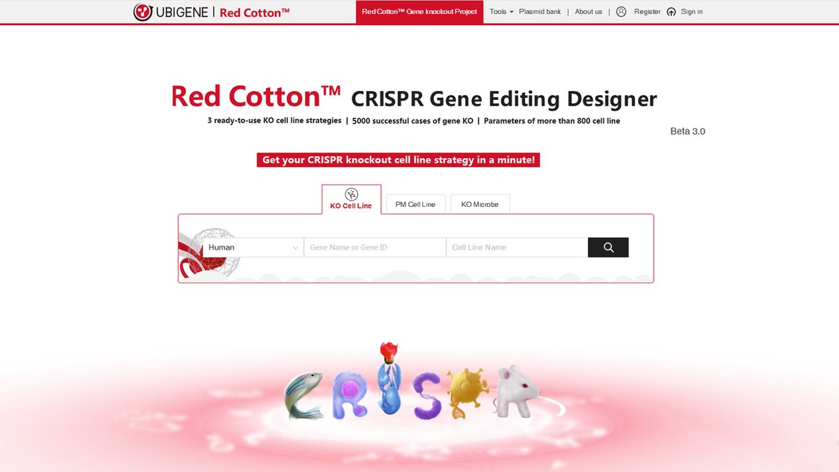 👋Struggling with gene knockouts? Red Cotton CRISPR Designer optimizes strategies (frameshift, fragments) in 1 min, assesses lethality &amp; gRNA designs. Genotyping Analysis automates Sanger results!  🎯Accelerate research: youtube.com/watch?v=sf8ubX… #CRISPR #GeneEditing #science