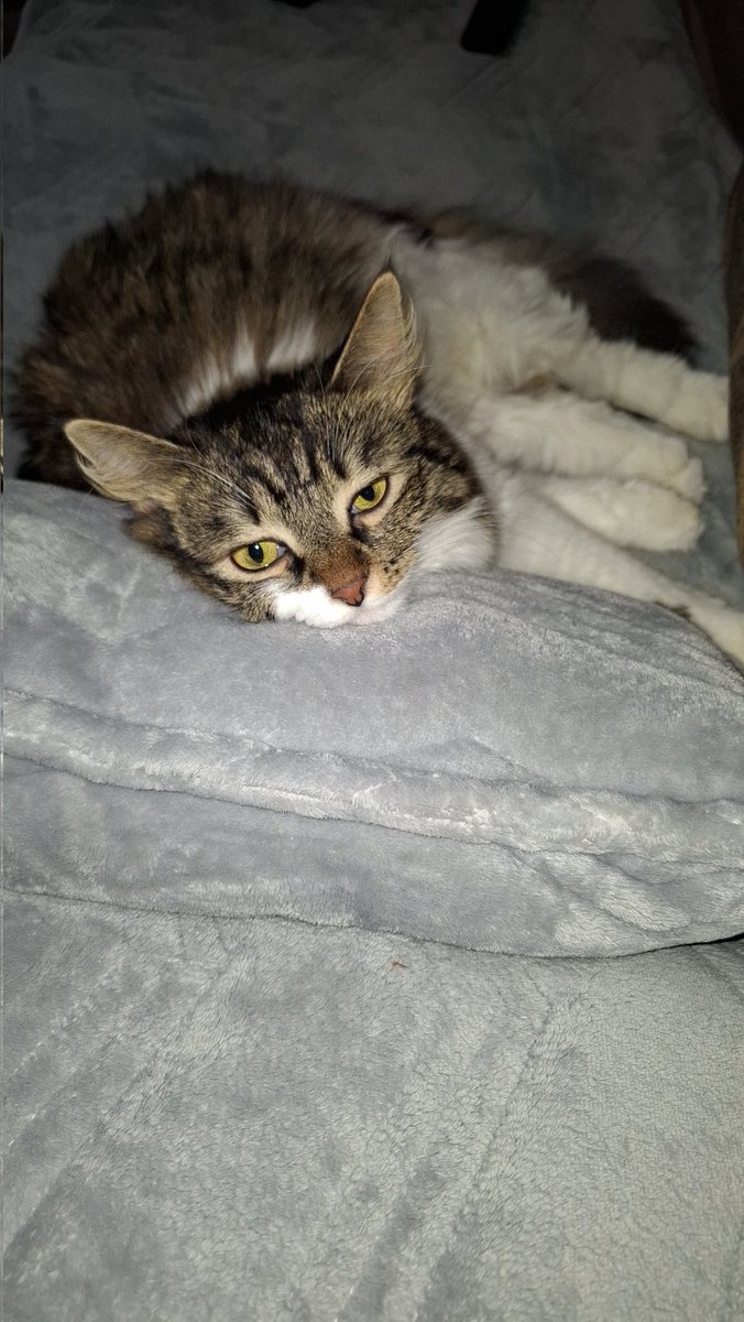 Понеделнички, видно вознемирена.