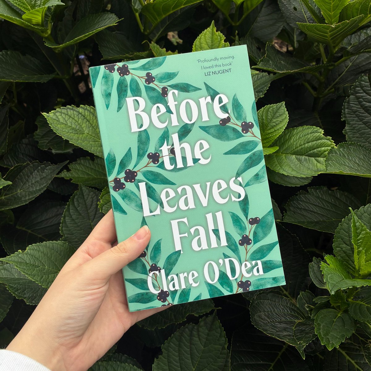 Less than one month to go until Before the Leaves Fall hits the shelves… 🌿📘

Publishing 23 October, Clare O’Dea’s ‘profoundly moving’ tale of connection, family and autonomy is sure to linger with you after you’ve turned the last page. Have you pre-ordered it yet?

#litfic