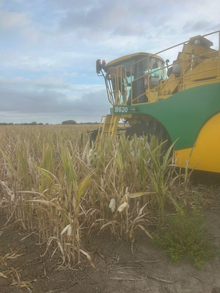 Au coeur d'ADVANTA® tweet media