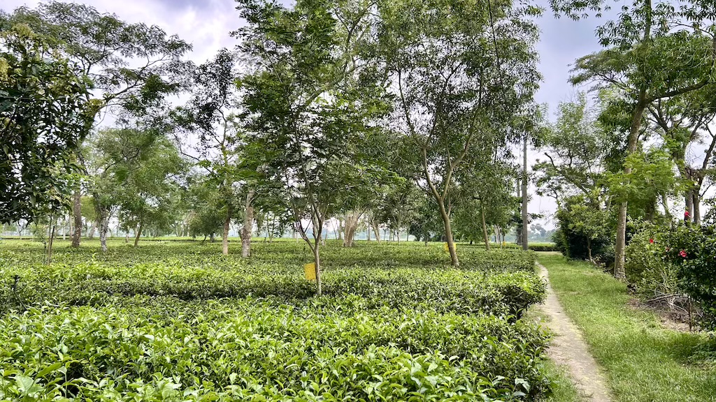 vlochan's tweet photo. Handcrafted excellence in every cup of Doke Black Fusion - https://t.co/jkEyOTK82U https://t.co/JZa8CJYvzM