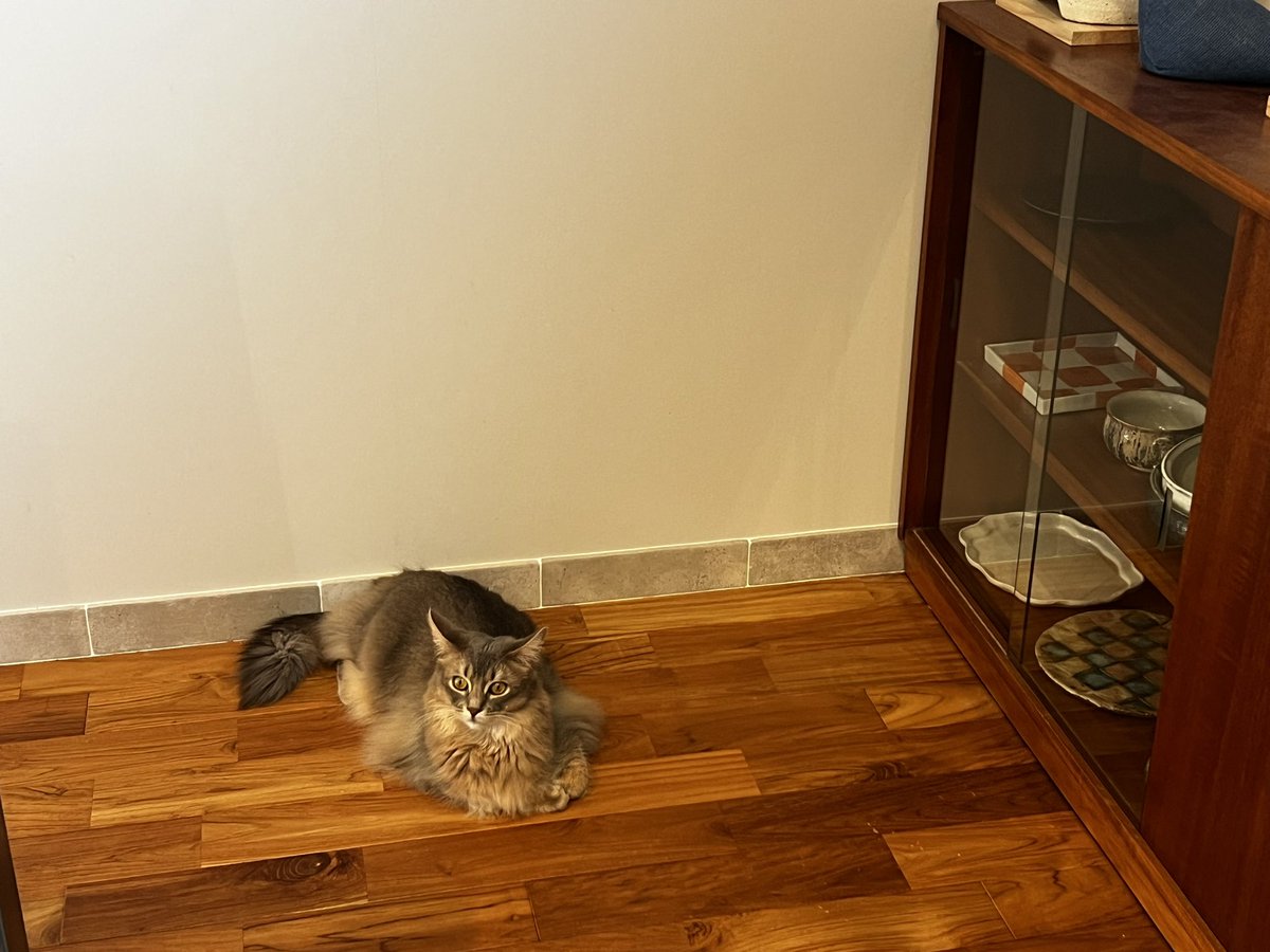 ま〻ぱん tweet media