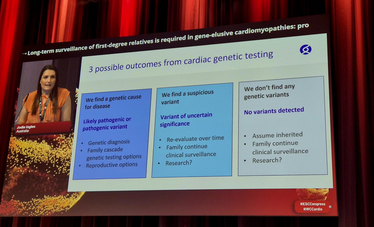 Mariana Brandão tweet media