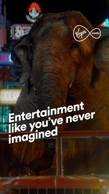 KathrynA14738's tweet image. 🚚🐘 A world of entertainment awaits ✨ Meet our newest heroine – an elephant with maverick energy, a stolen red truck, and a one-way ticket to the bright lights of Bangkok. 🎥 Watch our new ad now and discover entertainment with... #TeamVirginMediaO2 dy.si/FNuS5n2