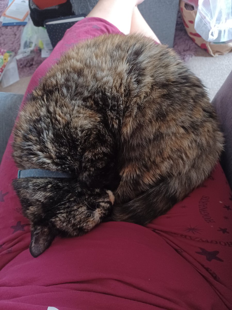 This cat hasn't been anywhere near me for the last 4 months, only see her when she wants food. The weather changes and the temperature drops and there's finally a bit of rain and she's in and wants to cuddle!