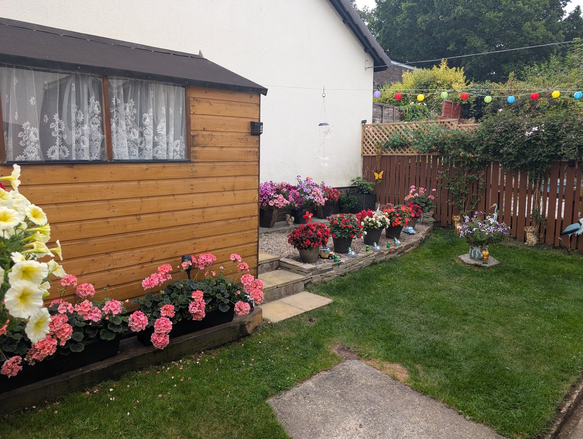 Congratulations to the two winners of this year's annual 'Teign Housing in Bloom' garden competition.
The winner of the individual garden category was Sam from Dawlish.
Anne and Chris from Bovey Tracey were the winners of the container category.
Thank you to everyone who entered