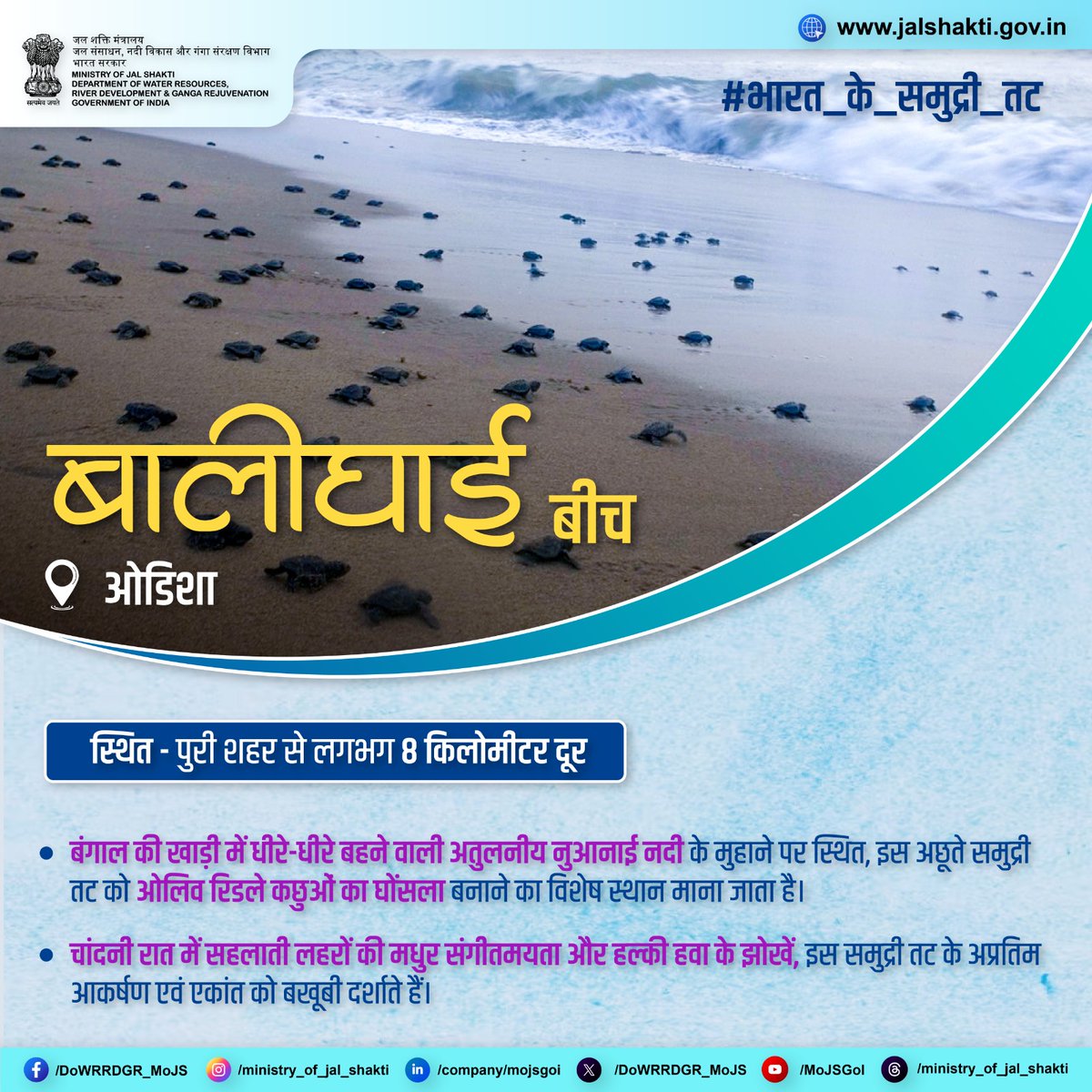DoWRRDGR_MoJS's tweet image. बालीघाई बीच- घने कैसुरीना पेड़ों के झुरमुट, रेत के टीलों और मंद समुद्री हवा के लिए प्रसिद्ध यह शांत और मनोरम समुन्द्र तट, देश भर में प्रचलित और आदर्श पिकनिक स्थल है। 

#भारत_के_समुद्री_तट #IncredibleIndia #Odisha #BeachesofIndia #OliveRidleyTurtles #WaterConservation…