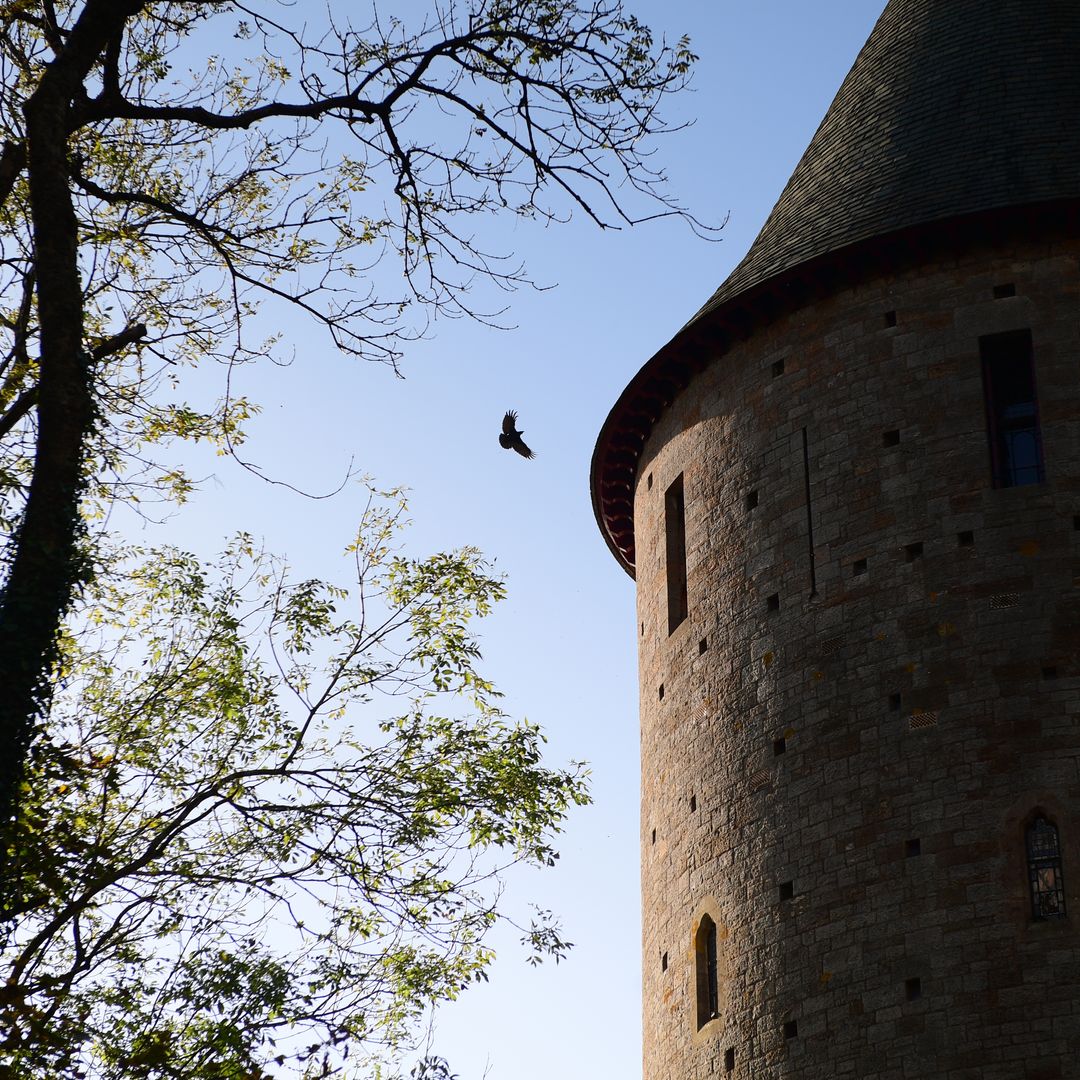 #MysteryMonday

Though it looks medieval, it was the vision of the 3rd Marquess of Bute and architect William Burges, who transformed its ruins into a romantic Gothic revival masterpiece.

Can you guess which Cadw site we’re talking about?