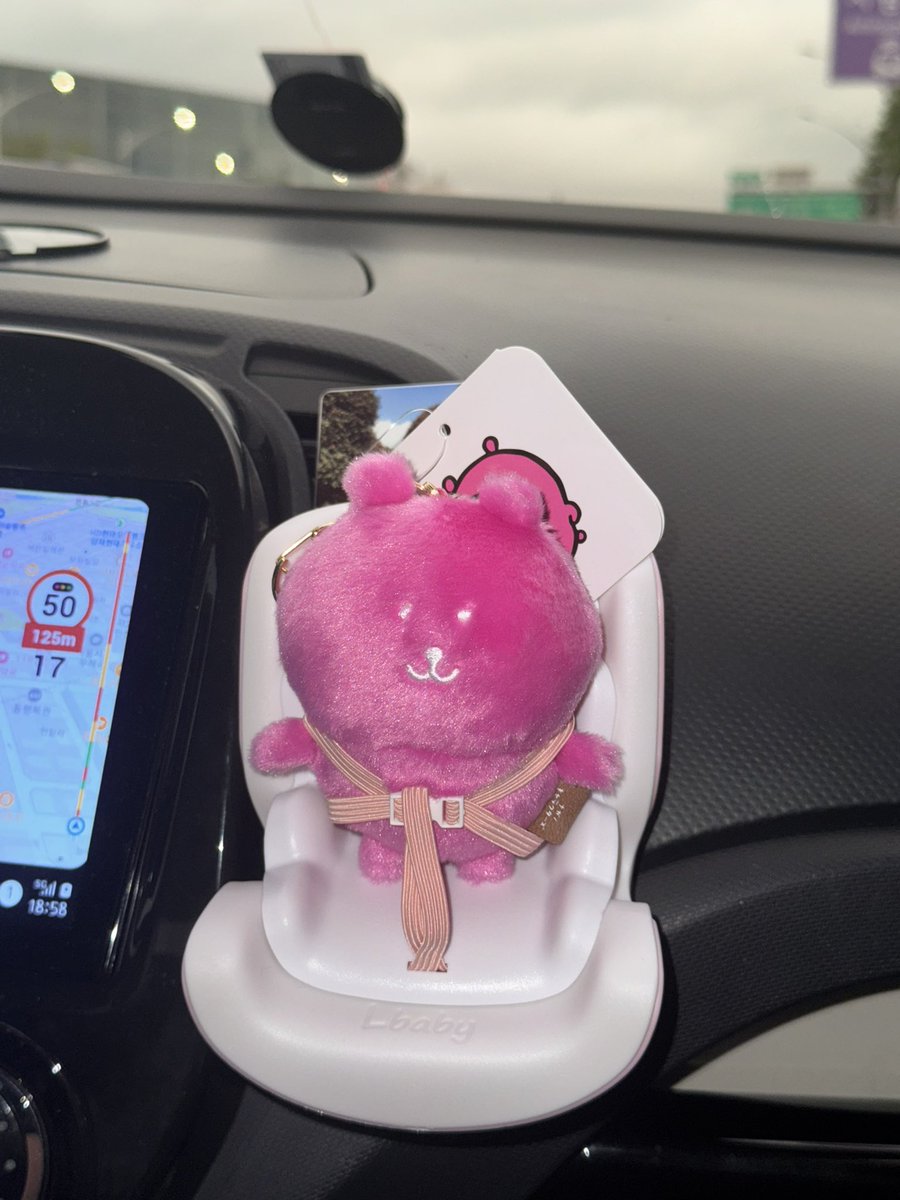 돼지가 타고있곰