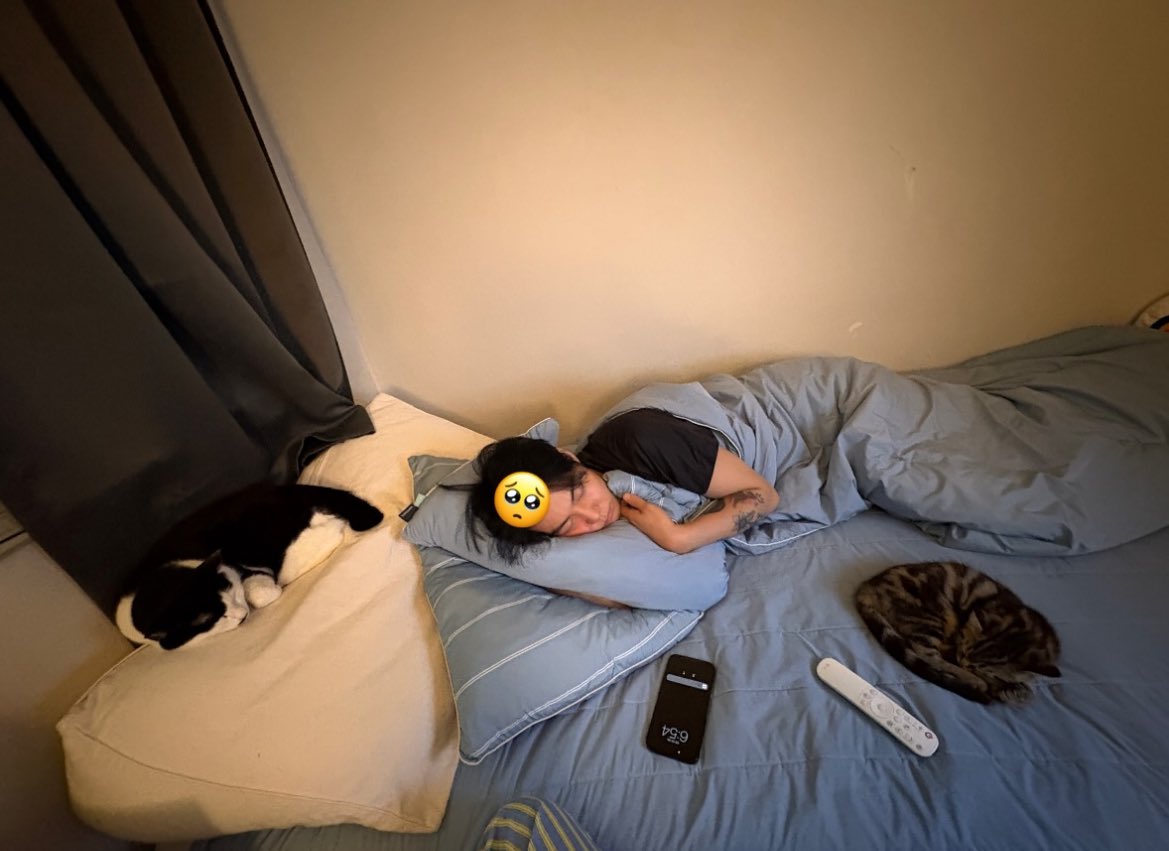 Seongho’s cats are sleeping🫶🏻😴