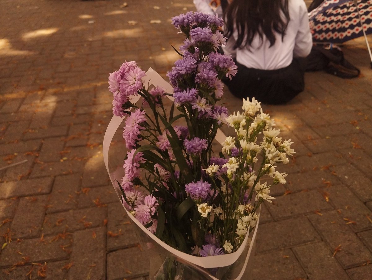 Sygnoras) / Posts / X