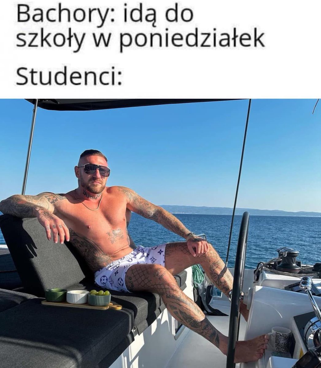 TurtleHype (@turtlehype4) on Twitter photo 