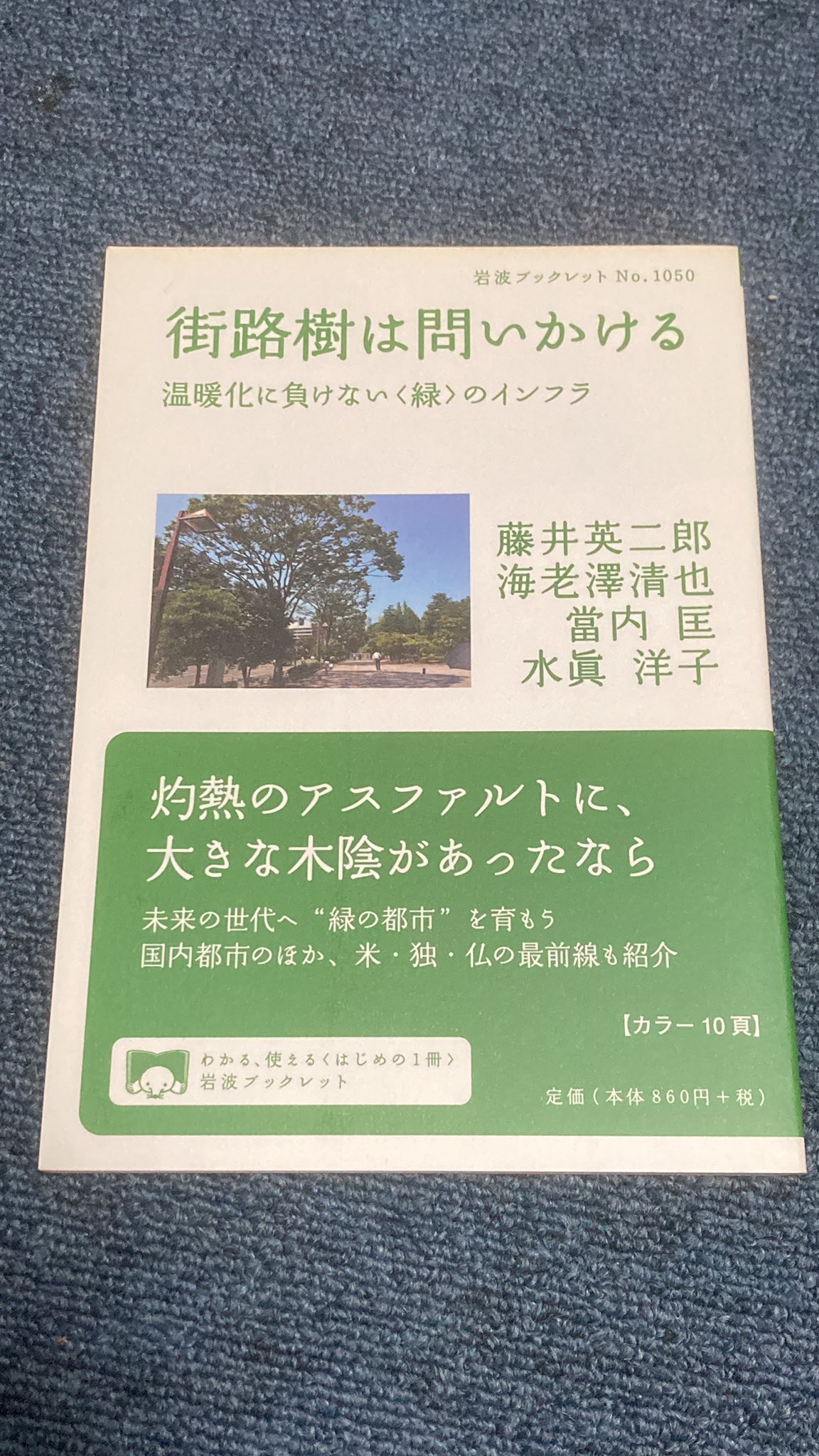 野人俊ちゃん on X: 