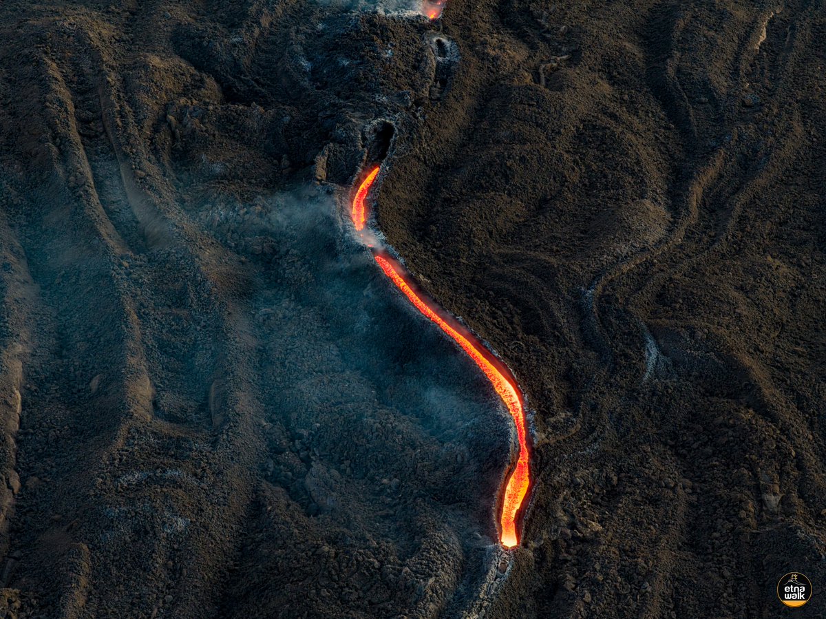 Etna Walk tweet media
