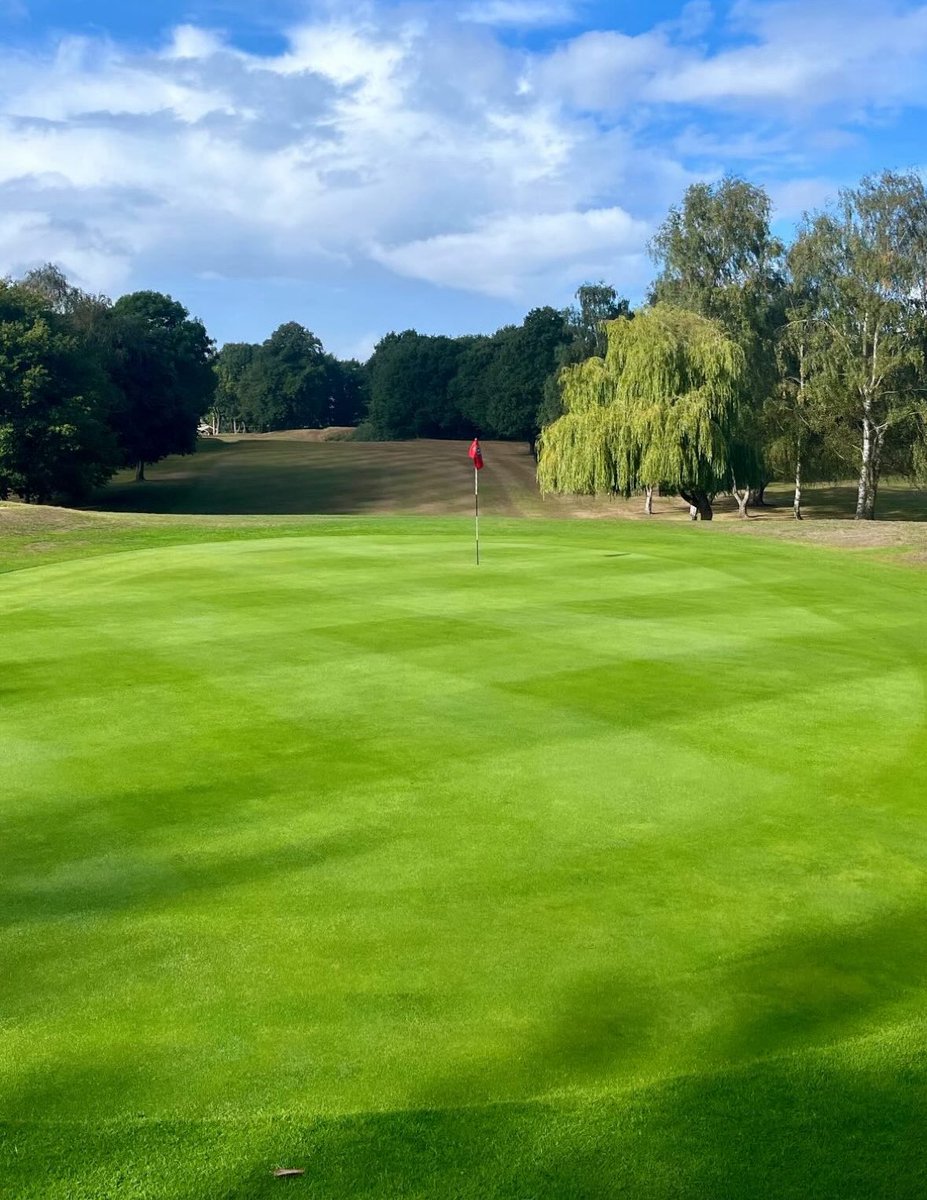 Eltham Warren Golf tweet media