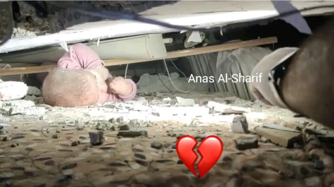 للون الزهري بين غبار الركام، ماذا تفعل؟ 
هذه الخدود التي لم تعرف إلا قبلات أمها، ماذا تفعل الحجارة فوقها! 
لليد المقبوضة الخائفة، والأخرى المرفوعة للصدر، هذه حركات الخوف والقهر لإنسان بالغ، كيف تعلمتها الصغيرة! 

#فلسطين_قضية_الشرفاء