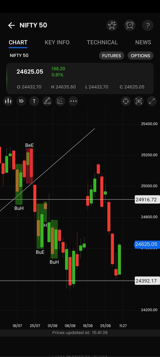 #Nifty did you see the bullish power above 24500...