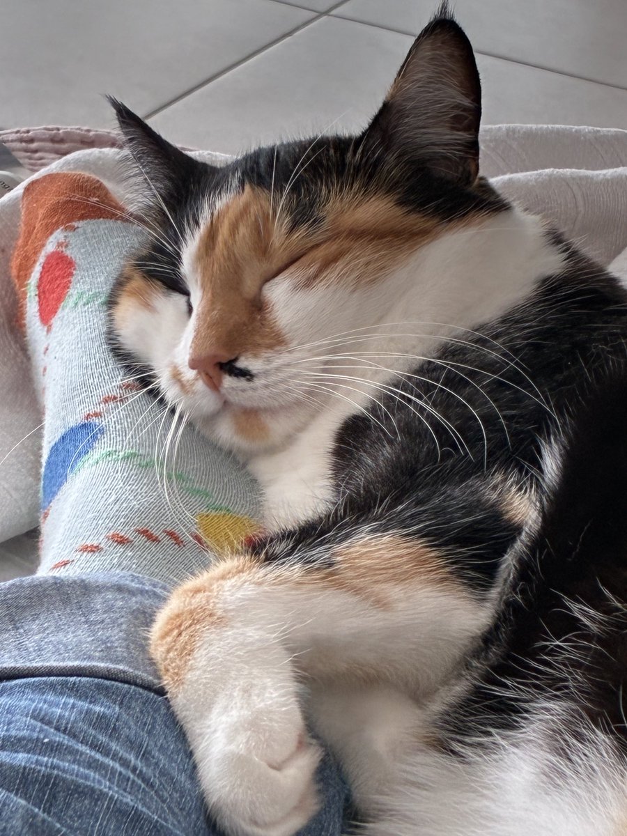 #Bella